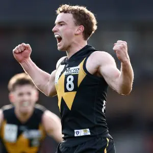 Werribee crowned VFL premiers after ending 31-year drought with comeback win over Southport