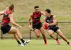 Essendon Bombers Training Session