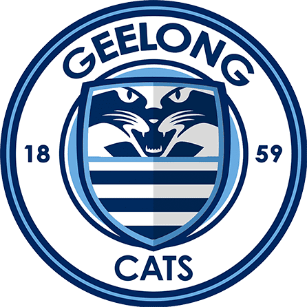 If AFL clubs were Premier League teams - AFL News - Zero Hanger - Page 7