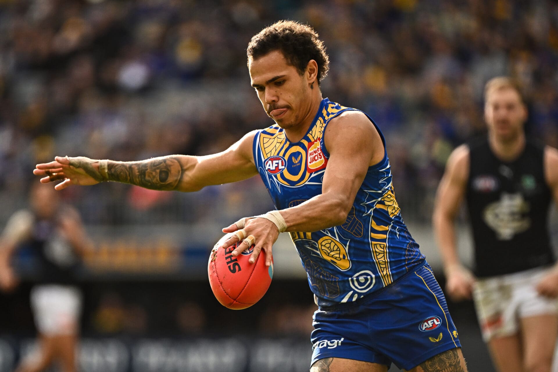 Every AFL Team S Best 23 For The 2024 Season West Coast Eagles AFL News Zero Hanger