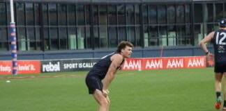 Finals drought, stemming injuries and matching the best: Five burning questions - Carlton Blues