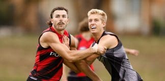 The 19-game Bomber who could be Essendon's difference maker