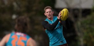 Hawthorn Hawks Training Session